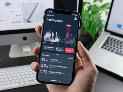 Business App Interface